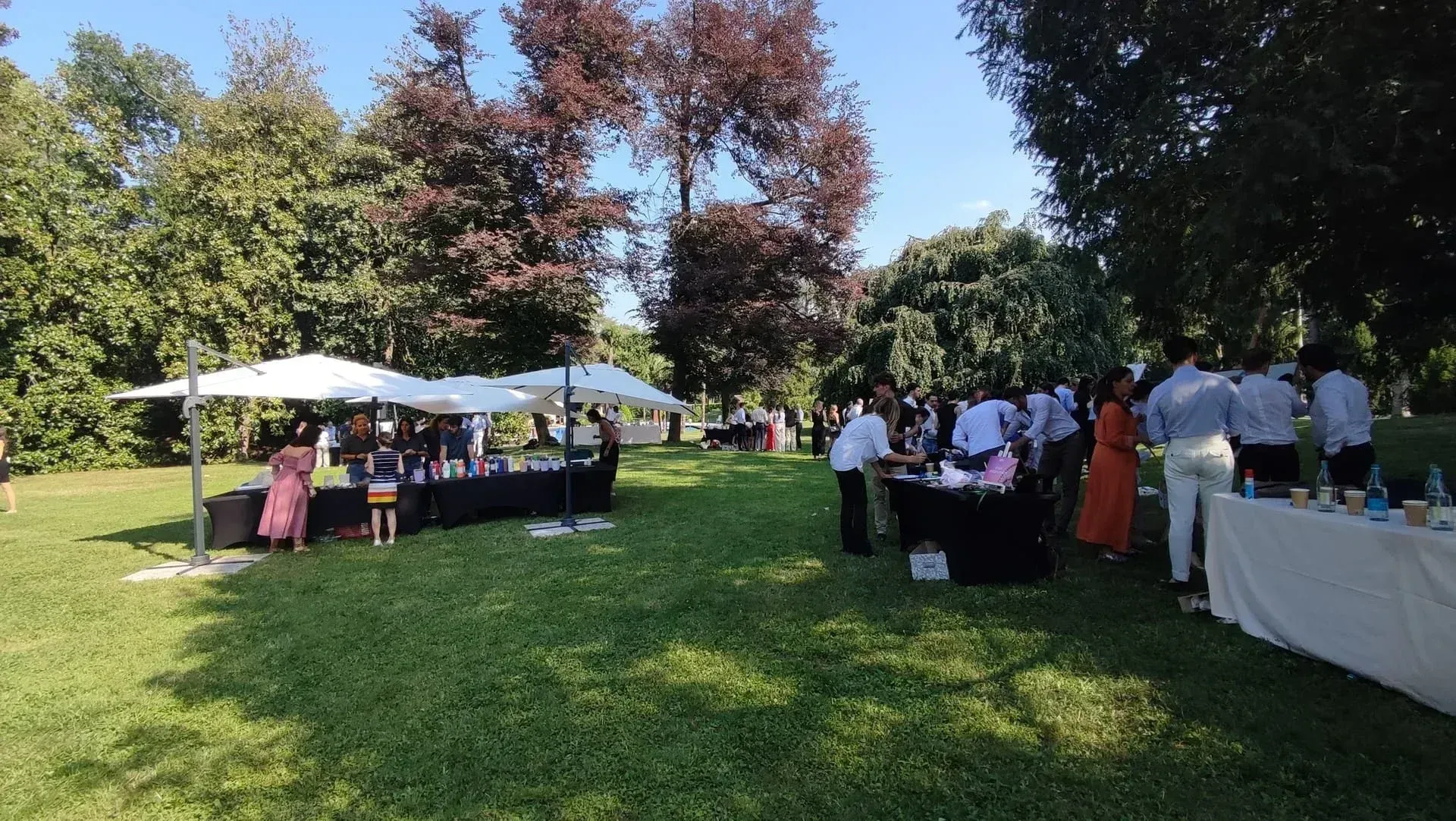 Art Fusion Activities