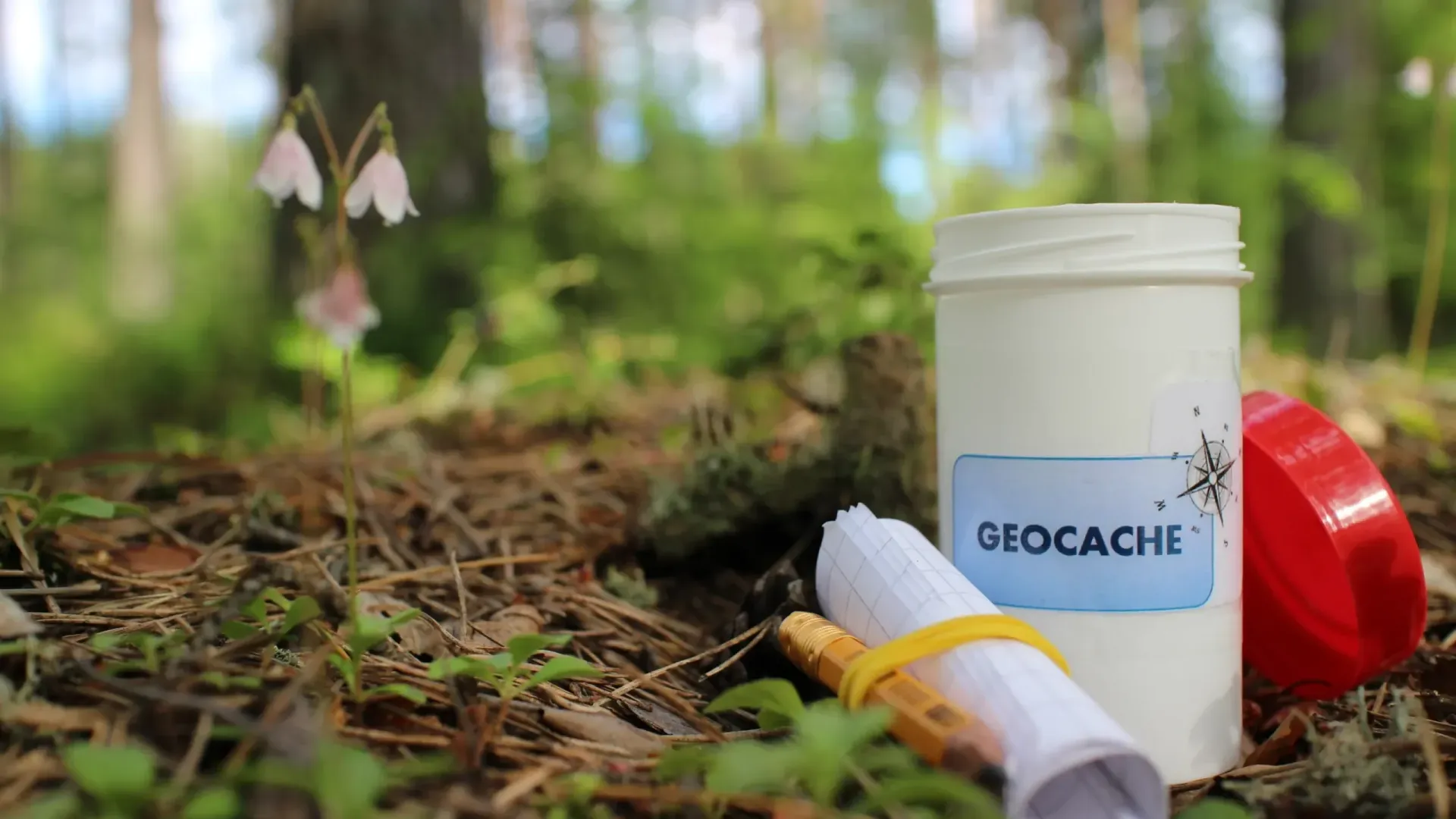 Geocaching Activities