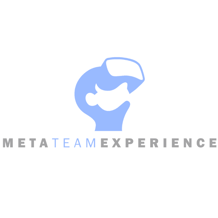 Meta Team Experience