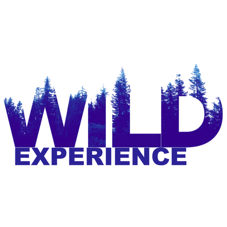 Wild Experience